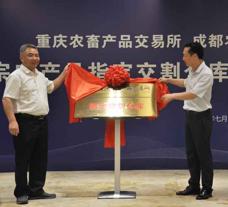 重庆进出口贸易新动态：市场机遇与挑战并存